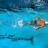 Icon Swimmers