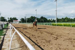 Horse racing