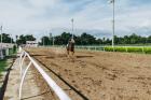 Horse racing
