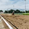 Horse racing